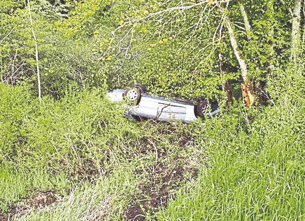 Im Wald gelandet 2021 06 02 Unfallfahrer Foto