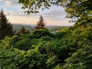 Ausblick vom Nahekopf Richtung Neubaugebiet