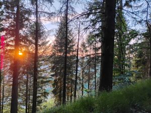Ausblick vom Nahekopf Richtung Sonnenberg