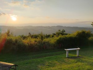 Abendsonne im August über Dirk's Ruh