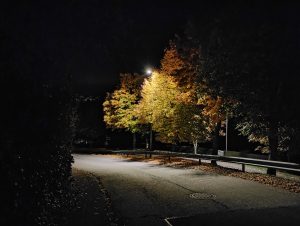 Im Forst: LED-Lampe beleuchtet Herbstbäume