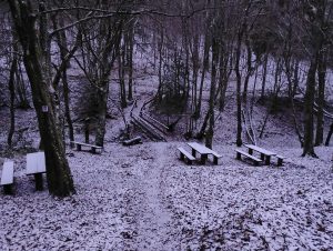 November: Rinzendell im Schnee