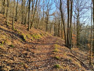 Sonniger Dezembertag